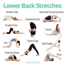 Lower Back Yoga Stretches Backpain Easy Yoga Workouts Workout Programs Flexibility Workout
