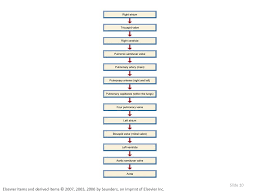 chapter 16 anatomy of the heart ppt video online download