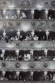 Black And White Combination Wallpaper Opera House Wallpaper Home Wallpaper Eclectic Wallpaper Goldfish Wallpaper