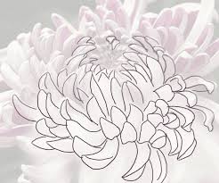 We did not find results for: Learn How To Draw An Ogiku Chrysanthemum Bloom