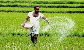 Flat colors only, no transparencies, gradients or special effects. Govt Estimates Wheat Production At Record High Of 106 21 Mn Tonne For 2019 20