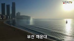 舞蹈福利 hot korean bj 【抖奶】【主播】【精选】【乳摇】bj감동란泳池party性感bikini摩托摇. Pnohyowh5hpdam