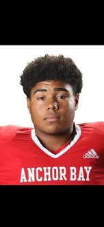 Michigan high school football: 2023 Free Press All-East team