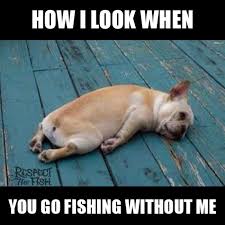 When You Go Fishing Without Me Respect The Fish Funny Animal Videos Fishing Humor Fishing Memes