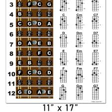 5 String Banjo Fretboard Notes Poster Chord Chart G Reverb