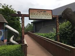 How You Can Go To Colchester Zoo For Just 10 In 2020 Essex Live
