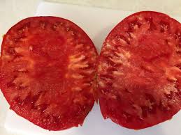Choose an area with full sun after any chance of frost has passed. Tomato Garden Leader Monster Seeds Certified Organic Garden Hoard Certified Organic Heirloom Seeds Grown In Michigan By Renegade Acres
