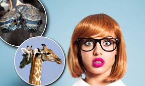 As you can see the head guide is larger than the body. Amazing Optical Illusions Appear To Show Animals With Two Heads Express Co Uk