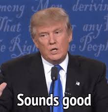 Browse latest funny, amazing,cool, lol, cute,reaction gifs and animated pictures! Best Donald Trump Speech Gifs Gfycat
