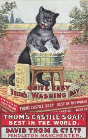 afbeeldingsresultaat voor advertisement poster cat louis wain cats vintage advertising art vintage cat