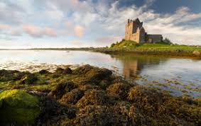 Christmas day (substitute day) 28 december: Bank Holidays In Ireland In 2021 Office Holidays