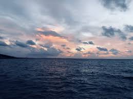 We did not find results for: Puerto Del Sol Rv Park Corpus Christi Texas Us Parkadvisor