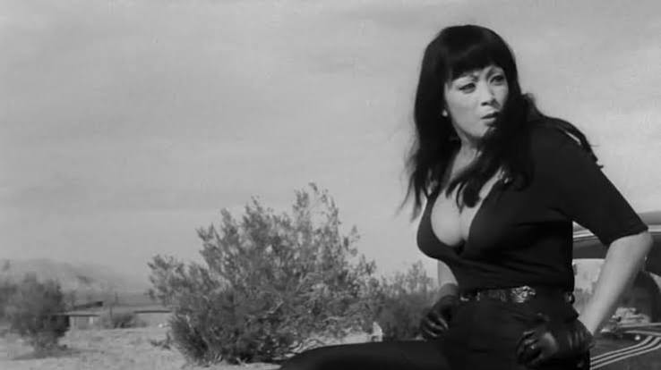 Watch Faster, Pussycat! Kill! Kill! (1965) - Free Movies | Tubi
