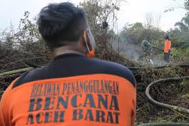 Tanah (cm) dan kedalaman gambut (cm). Kebakaran Lahan Gambut Di Nagan Raya Aceh Republika Online
