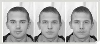 Figure 3 from Changing the face of criminal identification