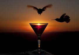 Batman Robin Return Sunrise Sunset Animal Planet Batman Robin