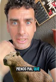 Diversión y Humor con Capibaras