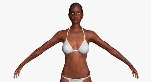 African American Woman Character 3dsmax 3d Model African American Women Model African American