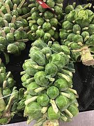 Fought the little demons on my brussel sprouts until a month ago. Brussels Sprout Wikipedia