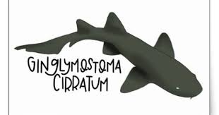 Black And White Shark Stickers Nurse Shark Stickers Zazzle Com In 2020 Nurse Shark Shark Tattoos Shark