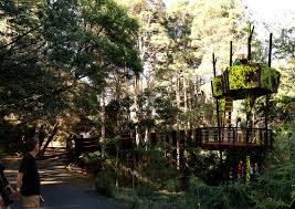 Two-storey treehouse unveiled at Australian National Botanic Gardens