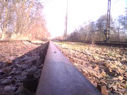 Photos taken by Motorola Wilder ...
