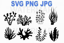 Coral Under The Sea Svg Png Jpg 127299 Illustrations Design Bundles Svg Illustration Design How To Draw Hands