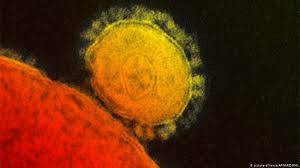 Le diatope de la géopolitique du coronavirus demande de penser à l'échelle mondiale. Which Migrant Services In Europe Are Suspended Or Reduced Due To Covid 19 Infomigrants
