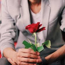 Pin On Roses