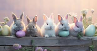 Image result for tbn:nuNU7FPK4A54yM::rvforsaleguide.com/images/bunny-resting-picture.jpg