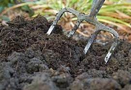 How To Prepare Garden Soil In The Fall Planet Natural Manure Composting Mushroom Compost Garden Soil