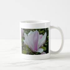 Magnolia Flower Coffee Mug Zazzle Com In 2021 Mugs Magnolia Flower Coffee Mugs