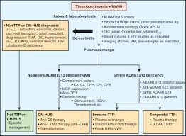 Image result for Plasmic Score