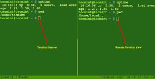 How To Host Multiple Linux Terminals For Viewing And Collaboration With Wemux Linux Linux Kernel Remote Viewing