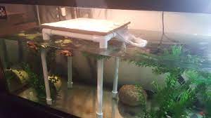 Now let's try making an easy homemade turtle dock with styrofoam. Turtle Basking Area Diy