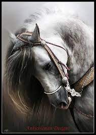 andalusian horse printable pdf chart needlework embroidery dmc etsy horses animals beautiful pretty horses