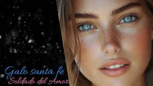 Vuelo de Mariposa 🦋