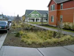 High Point Natural Drainage 32nd Swale Rainwater Drainage Drainage Outdoor Structures