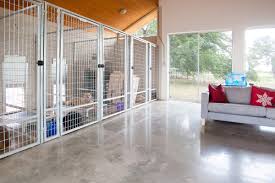 Better dog welfare in kennels encourages more dog rehoming, happier boarded dogs, relieved and packed with knowledge, ideas and inspiration from getting planning/ zoning, dog welfare in design. Dog Kennel Houzz