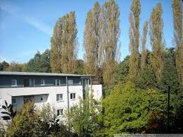 Interessiert an mehr eigentum zur miete? 2 Zimmer Wohnung Zu Vermieten Schankenweg 14 01109 Dresden Klotzsche Mapio Net