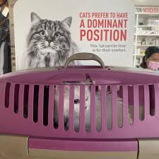 City pets vet, portland, or. Pet Zone Veterinary Clinic Ø¹ÙŠØ§Ø¯Ø© Ø¨Øª Ø²ÙˆÙ† Ø§Ù„Ø¨ÙŠØ·Ø±ÙŠØ© Pet Service In Dubai