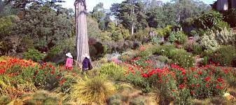 It serves to inspire and educate fans of all ages about sustainability, urban farming, and healthy eating. Must Do San Francisco Botanical Garden Mommy Nearest