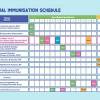 See the malaysia vaccinations schedule here. Https Encrypted Tbn0 Gstatic Com Images Q Tbn And9gcrjk4pzvmbnmixzaxueba 5vfsjh Ux4 Dearscxdssvcpbn6cn Usqp Cau