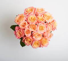 House of flowers say it with our's. Best Florists Flower Delivery In Linden Nj