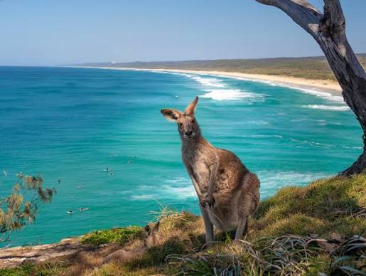 Why you should visit North Stradbroke Island