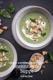 Sudtiroler Brennnessel Suppe Mit Schuttelbrot Croutons Cremig Raffiniert Tolle Vegetarische Vorspeise Trickytine In 2020 Rezepte Brennnessel Suppe