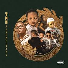 Download dj tira new songs , videos 2021 & also get top dj tira album zip from fakazahub. Download All Nomcebo 49 Songs 2021 Nomcebo Latest Mp3 Albumss Naijgreen