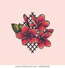 Plumeria Flower Embroidery Vector Floral Print Plumeria Floral Prints Embroidery Flowers