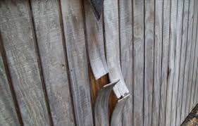 Learn about wood siding costs in your area. Lp Wood Shed Siding Vs T1 11 Siding