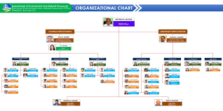 expert best tool for org chart 2019